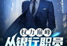 小说《权力巅峰:从银行职员到封疆大吏》完整版章节免费阅读-红梅文学