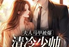 夫人马甲被爆,清冷少帅宠妻无度!这本小说完结了吗?免费查看最新章节-红梅文学