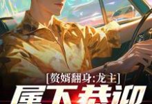 赘婿翻身:龙主,属下恭迎您归位叶尘林含雪,赘婿翻身:龙主,属下恭迎您归位章节在线阅读-红梅文学