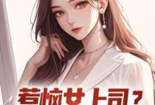 惹恼女上司?我有妙计摆平小说有没有完整的免费版本在线阅读?-红梅文学