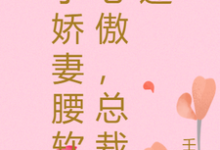 免费看小娇妻腰软心傲,总裁迷小说的网站有哪些?-红梅文学