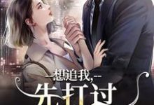哪里能找到想追我,先打过我手下再说小说的最新更新和免费章节?-红梅文学