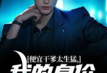 寻找便宜干爹太生猛,我的身价翻亿倍小说的最新更新章节-红梅文学