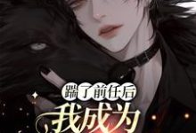 寻找能够免费阅读踹了前任后我成为他的金丝雀小说的平台-红梅文学