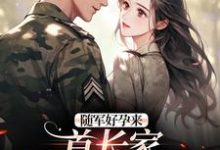 随军好孕来:首长家来了个大美人小说的无弹窗阅读体验,寻找免费阅读网站-红梅文学
