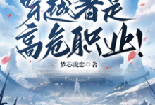 叶阳完整版《众所周知,穿越者是高危职业!》小说免费阅读-红梅文学