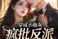 穿成小炮灰,疯批反派爱惨了小说完结版章节免费阅读-红梅文学