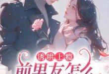 诱哄上瘾，前男友怎么总想和我复合苏宁商盛拓，诱哄上瘾，前男友怎么总想和我复合小说免费阅读-红梅文学