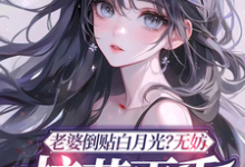 陈立飞小说完整版《老婆倒贴白月光?无妨,校花更香》免费阅读-红梅文学