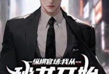 免费看纵横官场:我从秘书开始强势崛起小说的网站有哪些?-红梅文学