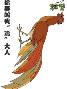 姬容小说免费阅读完整版