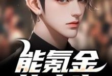 已完结小说《能氪金的人生，谁还肝啊》章节免费阅读-红梅文学