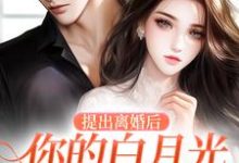 提出离婚后，你的白月光怎么不香了江晚吟商扶砚，提出离婚后，你的白月光怎么不香了小说免费阅读-红梅文学