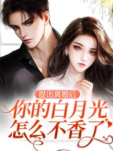 提出离婚后，你的白月光怎么不香了江晚吟商扶砚，提出离婚后，你的白月光怎么不香了小说免费阅读