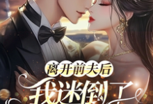 求离开前夫后,我迷倒了豪门太子爷小说的全文免费阅读链接-红梅文学