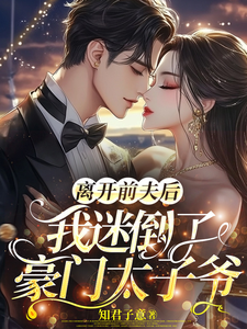 求离开前夫后，我迷倒了豪门太子爷小说的全文免费阅读链接