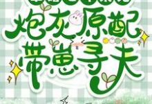 军婚七年未见,炮灰原配带崽寻夫安书陆铮在线章节免费阅读-红梅文学
