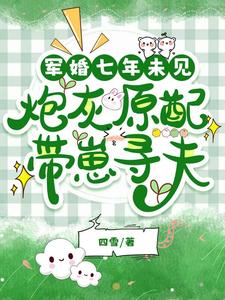 军婚七年未见，炮灰原配带崽寻夫安书陆铮在线章节免费阅读