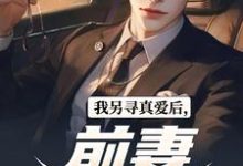 李夕小说免费阅读完整版-红梅文学