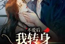 哪里可以免费找到不爱后,我转身缠上霸总?-红梅文学