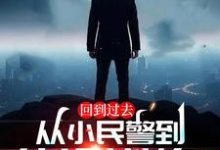 哪里能找到回到过去:从小民警到仕途巅峰!小说的全部章节?-红梅文学