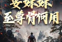 已完结小说《系统在手!要妹妹至尊骨何用》章节免费阅读-红梅文学