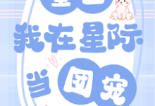 重生:我在星际当团宠最新章节,重生:我在星际当团宠免费阅读-红梅文学