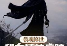 《裂魂修世我在精神病院的修炼之旅》小说大结局免费试读 羽栥亿小说-红梅文学