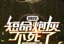 长生小说快穿:短命炮灰不死了章节免费阅读-红梅文学