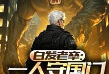 白发老卒:一人守国门弹指镇人间李苍澜小说在线章节免费阅读-红梅文学