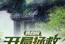 四合院:开局拯救绝美小姨子完整版最新章节,四合院:开局拯救绝美小姨子章节在线阅读-红梅文学