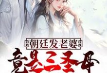 免费在线阅读朝廷发老婆,竟是三圣母杨婵?小说的正规网站有哪些?-红梅文学
