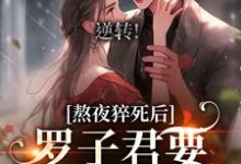 小说《逆转！罗子君要变职场新星》完整版在线章节免费阅读-红梅文学