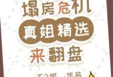 杨真真小说叫什么(内娱塌房危机?真姐精选来翻盘完整版免费阅读)-红梅文学