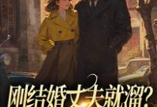 刚结婚丈夫就溜?姐真不吃人!小说完结了吗?在哪里可以免费读到?-红梅文学