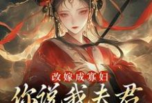 改嫁成寡妇,你说我夫君又复活了?这本小说在哪里可以看?哪里有免费试读章节?-红梅文学
