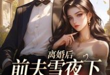 完结版《离婚后,前夫雪夜下跪求回头》在线免费阅读-红梅文学