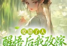 《爱错了人,醒悟后我改嫁权王你哭啥》小说唐瑈嘉秦斯珩章节章节免费在线阅读-红梅文学
