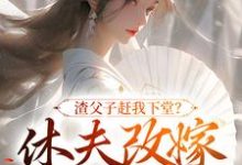 《渣父子赶我下堂?休夫改嫁你跪啥》完整版小说免费阅读-红梅文学