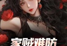 许野陈青青小说叫什么(家贼难防:老婆是个扶弟魔完整版免费阅读)-红梅文学