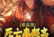 完结版《谁说我死亡率超高,我只是在练手》在线免费阅读-红梅文学