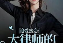 完整版小说《追爱蜜恋:大律师的惹火宝贝》免费阅读-红梅文学