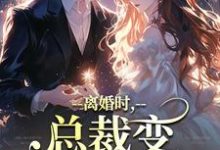 《离婚时,总裁变偏执病娇了》慕鸢霍泯小说免费阅读完整版-红梅文学