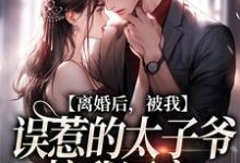 小说《离婚后,被我误惹的太子爷接我回家》章节免费阅读-红梅文学