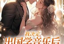 我决定出国学音乐后,大律师后悔了小说,我决定出国学音乐后,大律师后悔了在线阅读-红梅文学