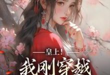 求皇上!我刚穿越,真不想玩宫斗小说的全文免费阅读链接-红梅文学