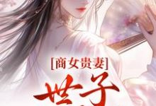 完结版《商女贵妻:世子,来算账》免费阅读-红梅文学