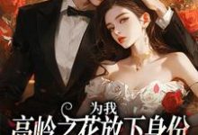 《为我,高岭之花放下身份为爱发疯》小说章节列表免费试读,沈听雪傅憬珩小说在线阅读-红梅文学