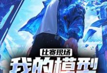 比赛现场,我的模型吓呆鹰酱小说的无弹窗阅读体验,寻找免费阅读网站-红梅文学