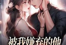 《被我嫌弃的他,竟成了我的港湾》小说章节列表免费试读,白夕颜小说在线阅读-红梅文学